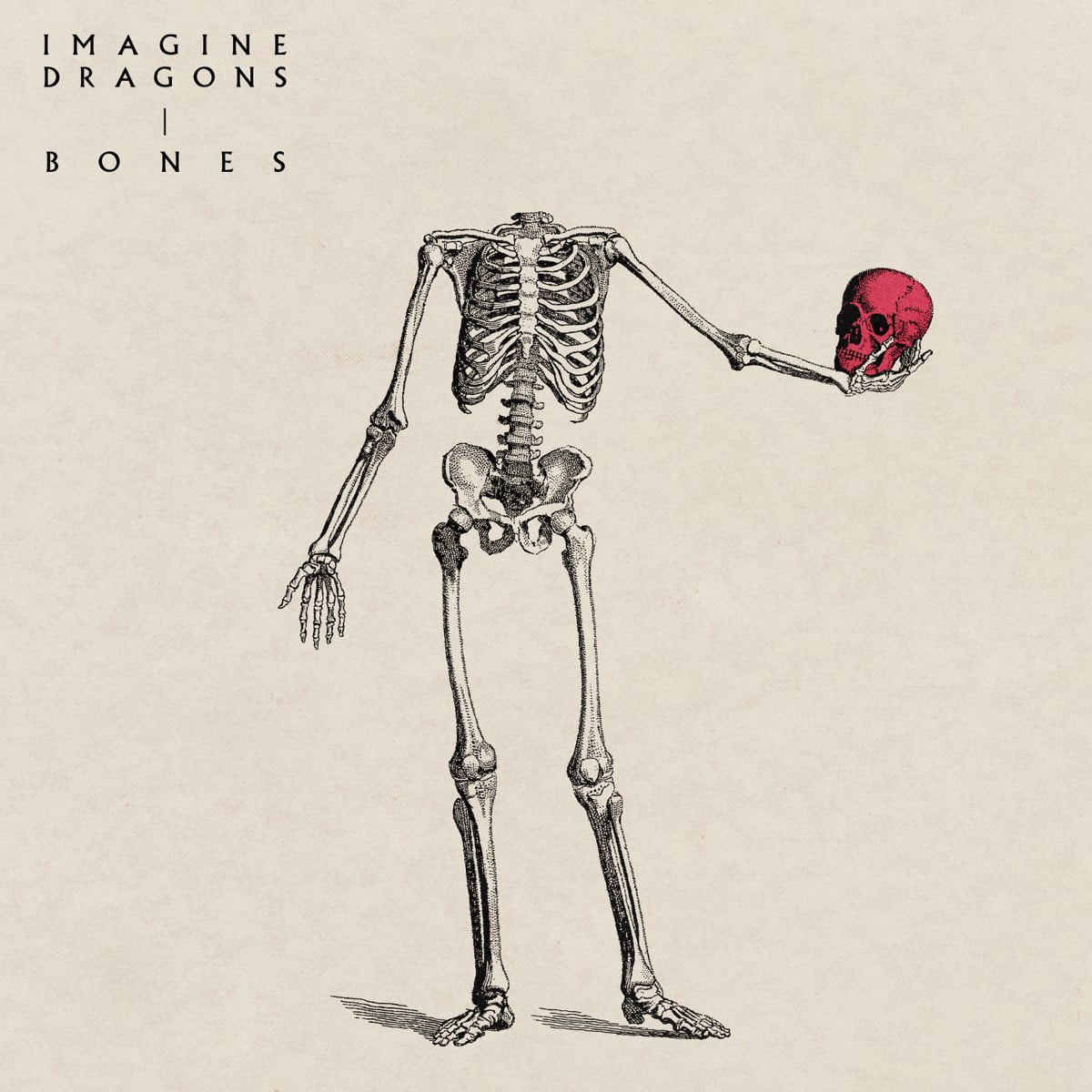 Bones - Single by Imagine Dragons