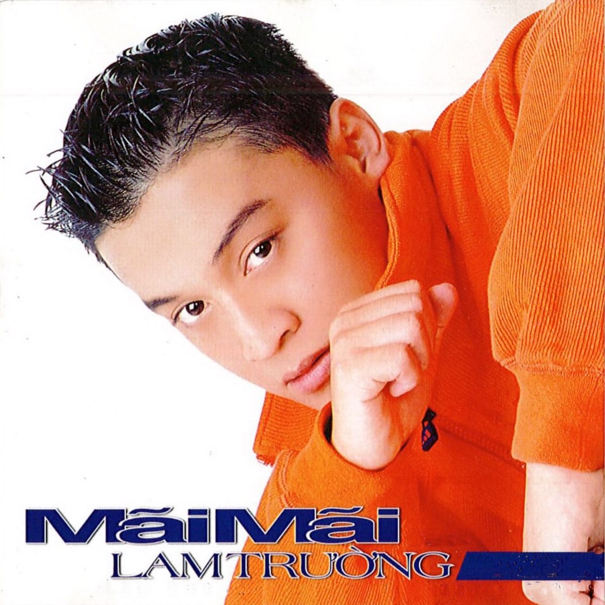 Album: Mãi Mãi by Lam Trường