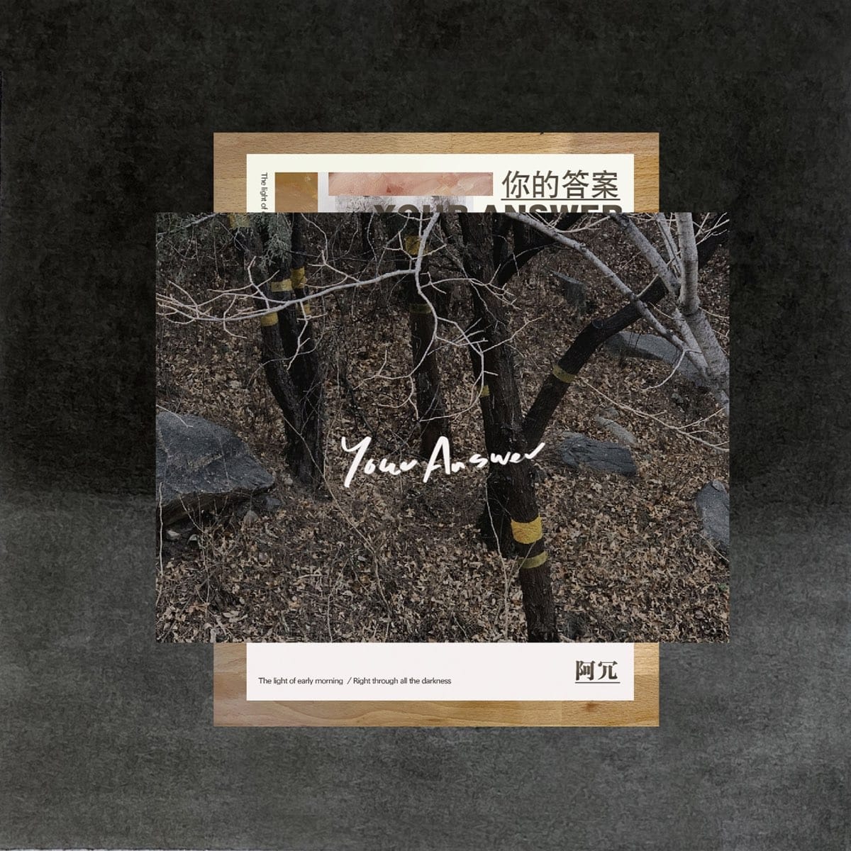 你的答案 - Single by Arong