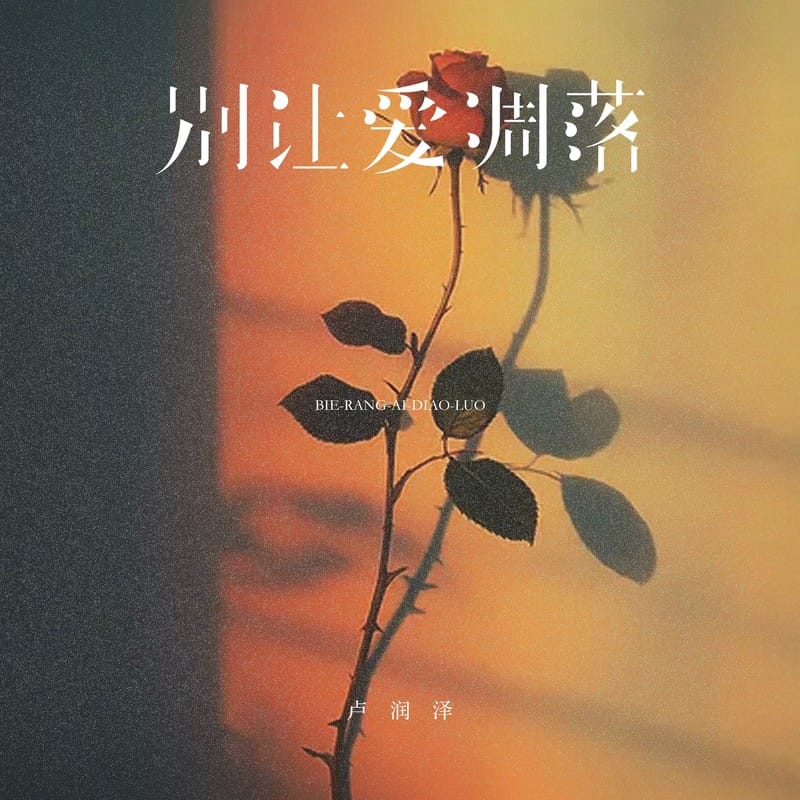 卢润泽 - 别让爱凋落 | My Love
