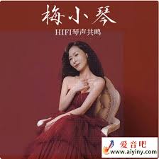 梅小琴 - 《HIFI琴聲共鳴》