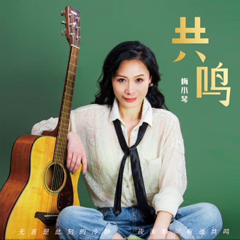 梅小琴 - 共鸣 | Mei Xiaoqin - Resonance (2023)