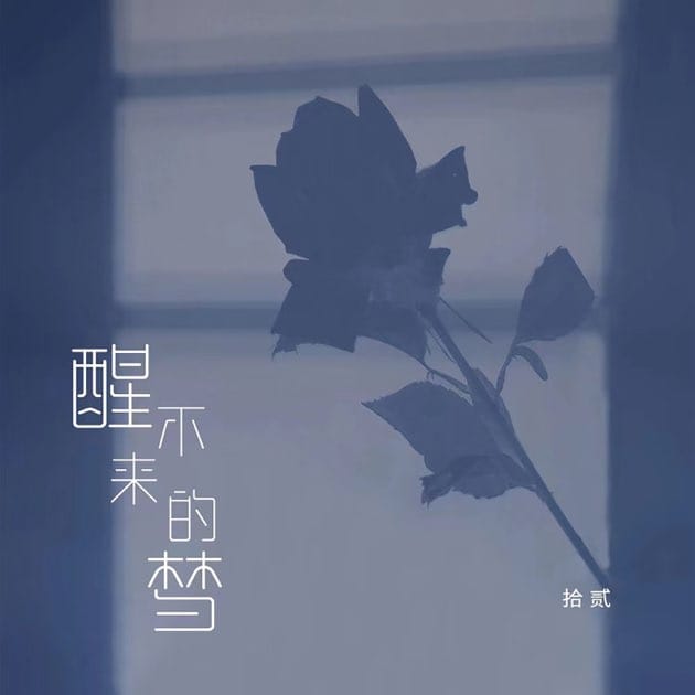 醒不来的梦 - Single by 拾贰