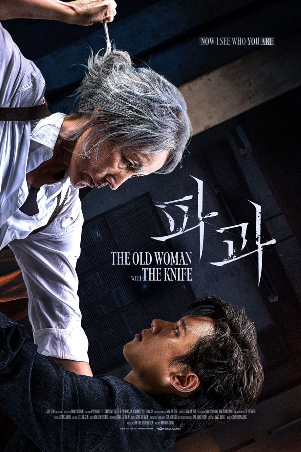 Đại Mẫu | The Old Woman With The Knife (2025)