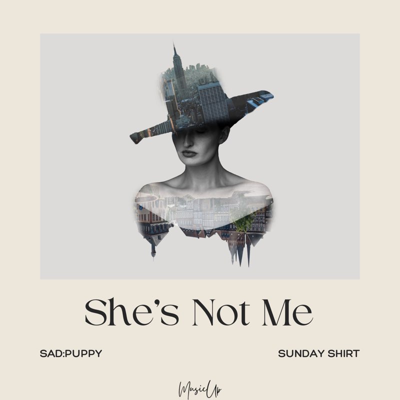 She's Not Me - Single