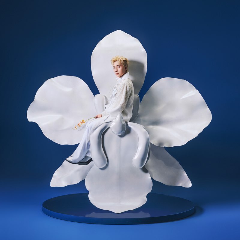 BLOOMEVER - Quang Hùng MasterD, Hino